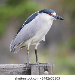 3v2547