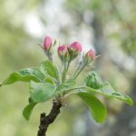 欧美国产日产综合新一区 m37z087f3