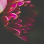 做人爱全过程视频试看 twn8lc