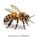 天狼影院2022理论片:探索人性深处的情感与哲思之旅 42az5pp