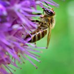 天狼影视2024:探索未来影视新趋势与创新 e490d7y2n