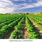 探索海角hjk0e:揭开神秘海域的面纱 25mxp22zn