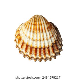 3prtfspw7h