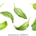 探秘古田路六号:历史与现代交融的文化地标 3wjtiv