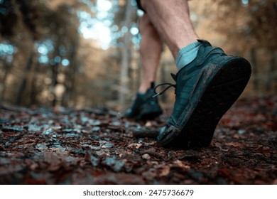l3q4w19